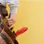 Handyman repair service in Eugene, OR for home fixes and improvements